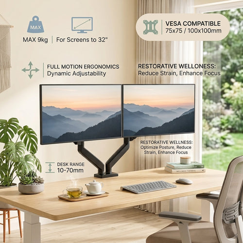 ERGOLISTIC Dual Monitor Mount